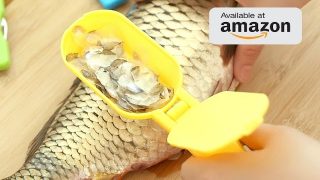 15 Kitchen Gadgets Put to the Test – New Kitchen Gadgets