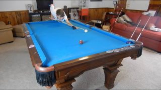 How to Play Balls Hanging in the Pocket CORRECTLY!