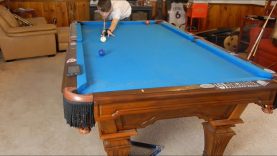 How to Shoot a Powerful Draw Shot | Exactly Where to Hit