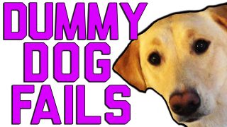 Dummy Dogs || “Dog Fails” By FailArmy