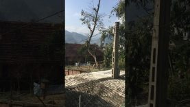 Chop Chop Timber Fail || ViralHog