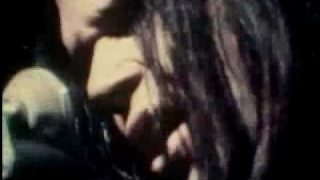 Neil Young – Old Man – Live at Massey Hall