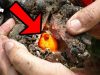 Top 10 Luckiest Discoveries That Made People Rich