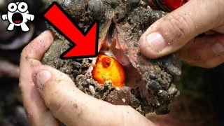 Top 10 Luckiest Discoveries That Made People Rich