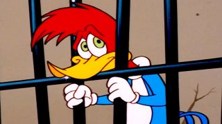 Woody Woodpecker Show | 1 Hour Compilation | Cartoons For Children