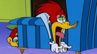 Woody Woodpecker Show | Cabin Fever | 1 Hour Compilation | Cartoons For Children