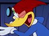 Woody Woodpecker Show | Eanie Meany Out You Go| Full Episode | Cartoons For Children