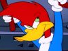 Woody Woodpecker Show | Getting Comfortable | Full Episode | Cartoons For Children