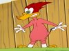 Woody Woodpecker Show | Super Woody | 1 Hour Compilation | Cartoons For Children