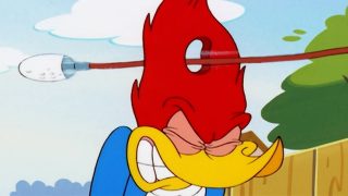 Woody Woodpecker Show | Tee Time | 1 Hour Non-Stop Woody Woodpecker Compilation | Cartoons For Kids