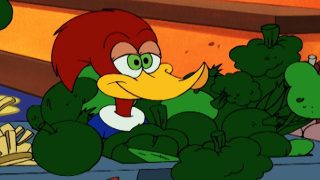 Woody Woodpecker Show | The Fabulous Foodbox by Scamco | Full Episode | Cartoons For Children