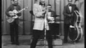 elvis presley-hound dog