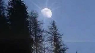 Play Me – Neil Diamond