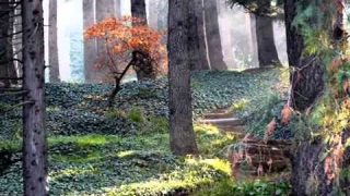 Van Morrison ~ Crazy Love  1970 lyrics   YouTube