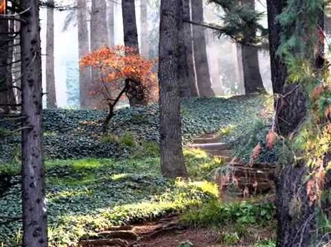 Van Morrison ~ Crazy Love  1970 lyrics   YouTube