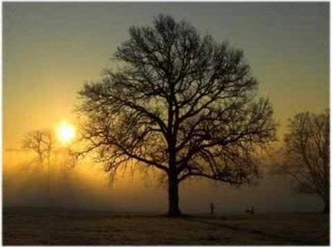 You’ll Never Walk Alone – Elvis Presley