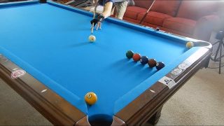 How To Do The Best Pool Trick Shots!