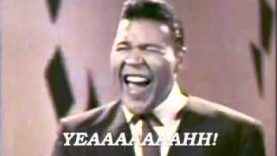 Chubby Checker – Let’s Twist Again (lyrics)