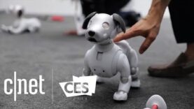 CNET’s best tech of CES 2018