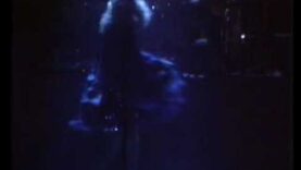 STEVIE NICKS ‘Leather & Lace’